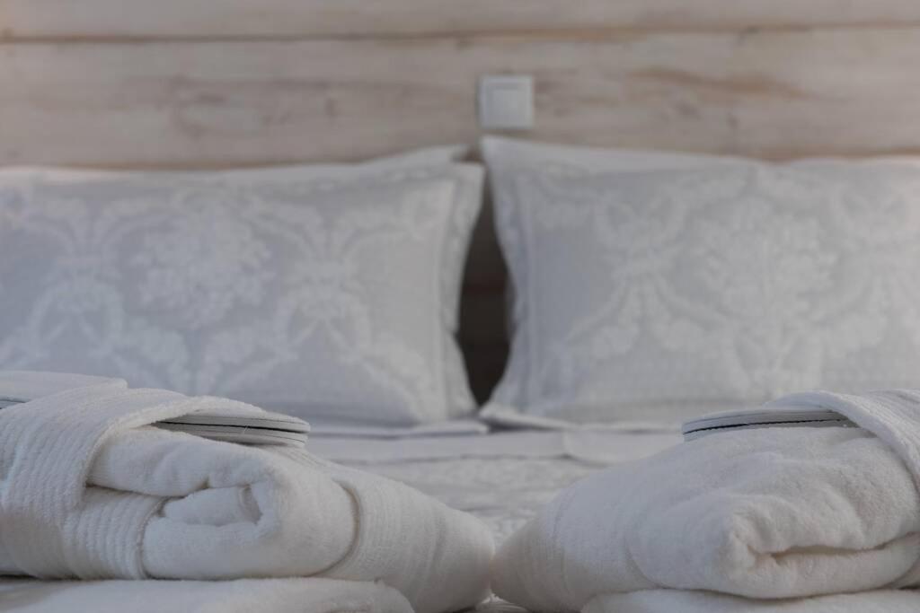 Nemesis Paleochora Apartment Chania  ภายนอก รูปภาพ